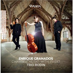 Download track Trova Trio Rodin