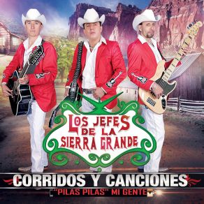 Download track Mi Cantar LOS JEFES DE LA SIERRA GRANDE