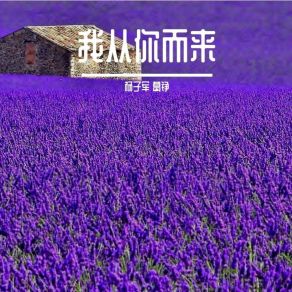 Download track 我从你而来 Ge Zheng