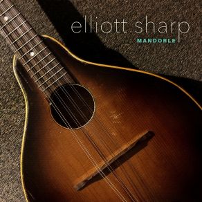 Download track Liber Abaci' Elliott Sharp