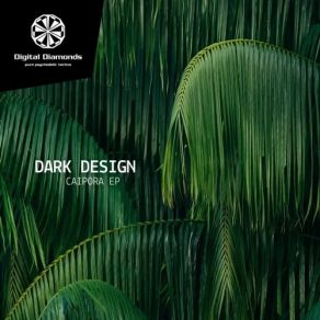 Download track Caipora (Original Mix) Dark Design