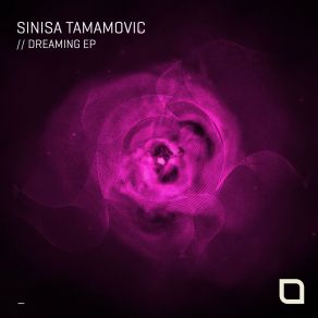 Download track Moon Lights (Original Mix) Sinisa Tamamovic