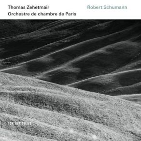 Download track 6. Symphony No. 1 Spring Op. 38 - III. Scherzo: Molto Vivace Robert Schumann