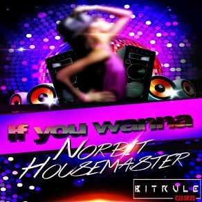 Download track If You Wanna (Original Mix) Norbit Housemaster