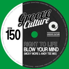 Download track Blow Your Mind (Micky More & Andy Tee Extended Mix) Micky More