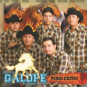 Download track Total Que Mas Da Grupo Galope