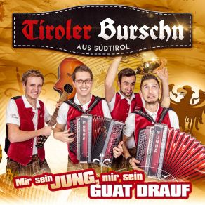 Download track Auf Zum Tanz Tiroler Burschn