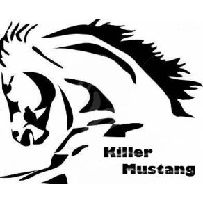 Download track Collection Killer Mustang