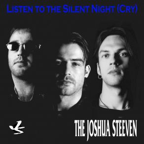 Download track Listen To The Silent Night (Cry) (Radio Edit) The Joshua SteevenThe Cry