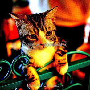 Download track Simple (Training Cats) Music For