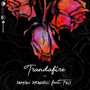 Download track Trandafire Damian Draghici