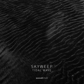 Download track Tidal Wave (Vinyl Mix) Skyweep