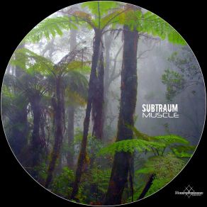 Download track Sigilo Subtraum