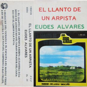 Download track Caminos De Achaguas Eudes Alvarez