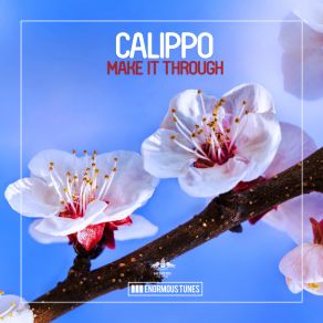 Download track Street Blaster (Original Mix) Calippo