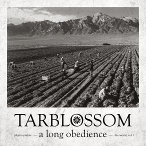 Download track Kedar (Psalm 120) Tarblossom