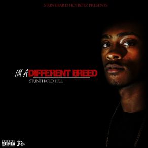 Download track No Time Stunthard Hill