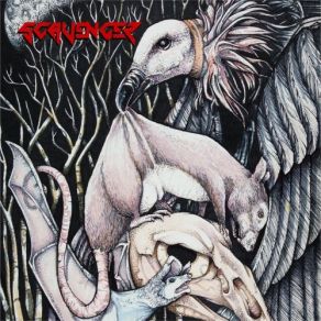 Download track The Vulture Knows Scavenger