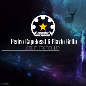 Download track Chaos Of Tranquility Flavio Grifo, Pedro Capelossi