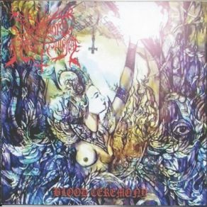 Download track A Fetid Jasmine Of Curse Symphonic Of Black Sculptures