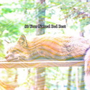 Download track A Gift Of Sleep Nature Sounds Nature Music