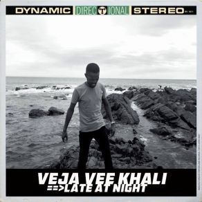 Download track The Bright Day Veja Vee Khali