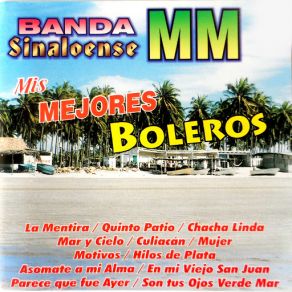 Download track Motivos Banda Sinaloense MM