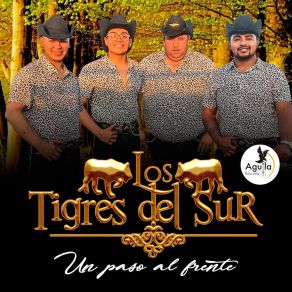 Download track Mix - Los Tigres Del Sur: Me Gusta Mi Cuñada / Mujer De Todos Mujer De Nadie / Por Una Mujer Casada / Fue Difícil Los Tigres Del Sur