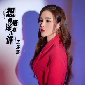 Download track 想问情深有几许 王莎莎