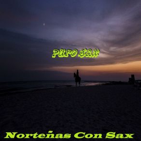 Download track Carmelita Nortenas Con Sax