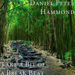 Download track Almost Done Daniel Peter Hammond