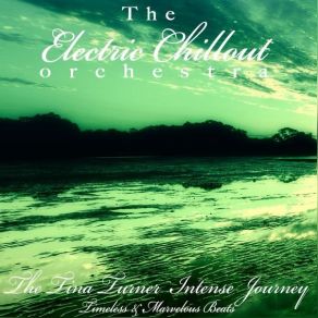 Download track Typical Male The Electric Chillout Orchestra