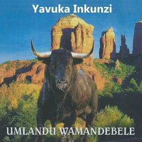 Download track Ingwenya Umabulala Yavuka Inkunzi