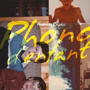 Download track Towers Of Pine Phono D'enfant