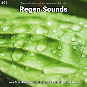 Download track Regen Sounds, Pt. 65 Schlafmusik