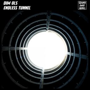 Download track Endless Tunnel Dim Ols