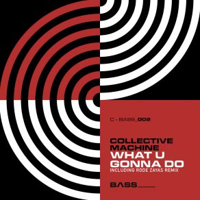 Download track What U Gonna Do (Instrumental Mix) Collective Machine