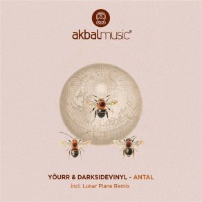 Download track Axel Darksidevinyl