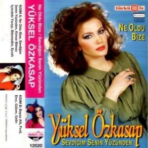 Download track Bilemedim Yüksel Özkasap