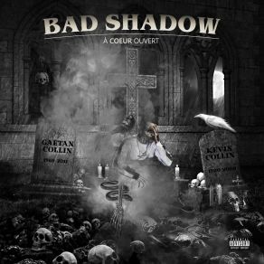 Download track Les Griffes Du Diable, Les Cornes D'Un Taureau Bad Shadow