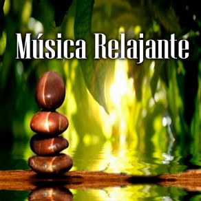 Download track Musica Relajante Para Cuerpo Y Alma Dad Acustic