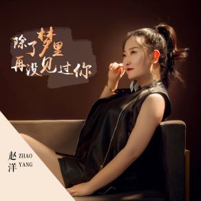 Download track 除了梦里再没见过你 (DJ Version) 赵洋