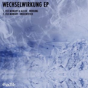 Download track Wirkung (Original Mix) Flo Monghy