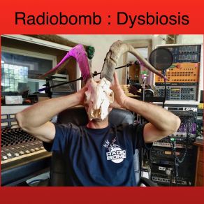 Download track Crossbreed RadioBomb