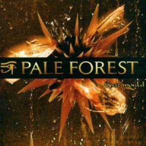 Download track Spiral Pale Forest