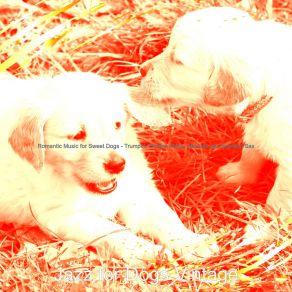 Download track Smooth Jazz Soundtrack For Walking Dogs Jazz For Dogs Vintage