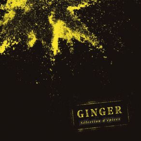 Download track Suspicious Minds Ginger