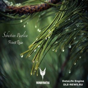 Download track Forest Rain (Original Mix) Sebastian Pawlica