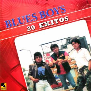 Download track Señora Droga Blues Boys