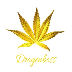 Download track Drogenboss (Extended Version) 13KreuzX